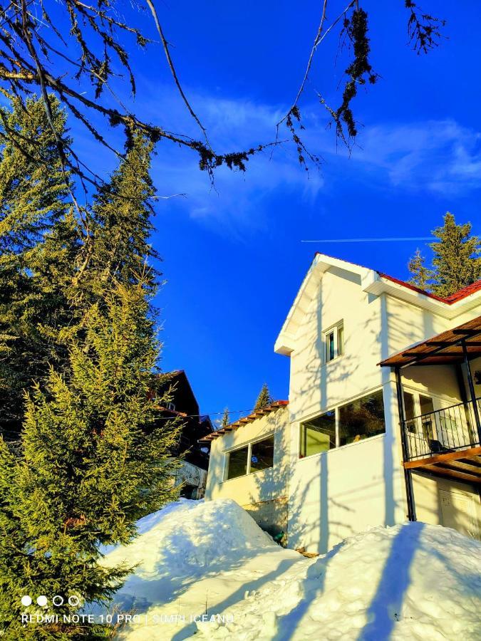 Villa Sky View Ranca-Transalpina Exterior foto