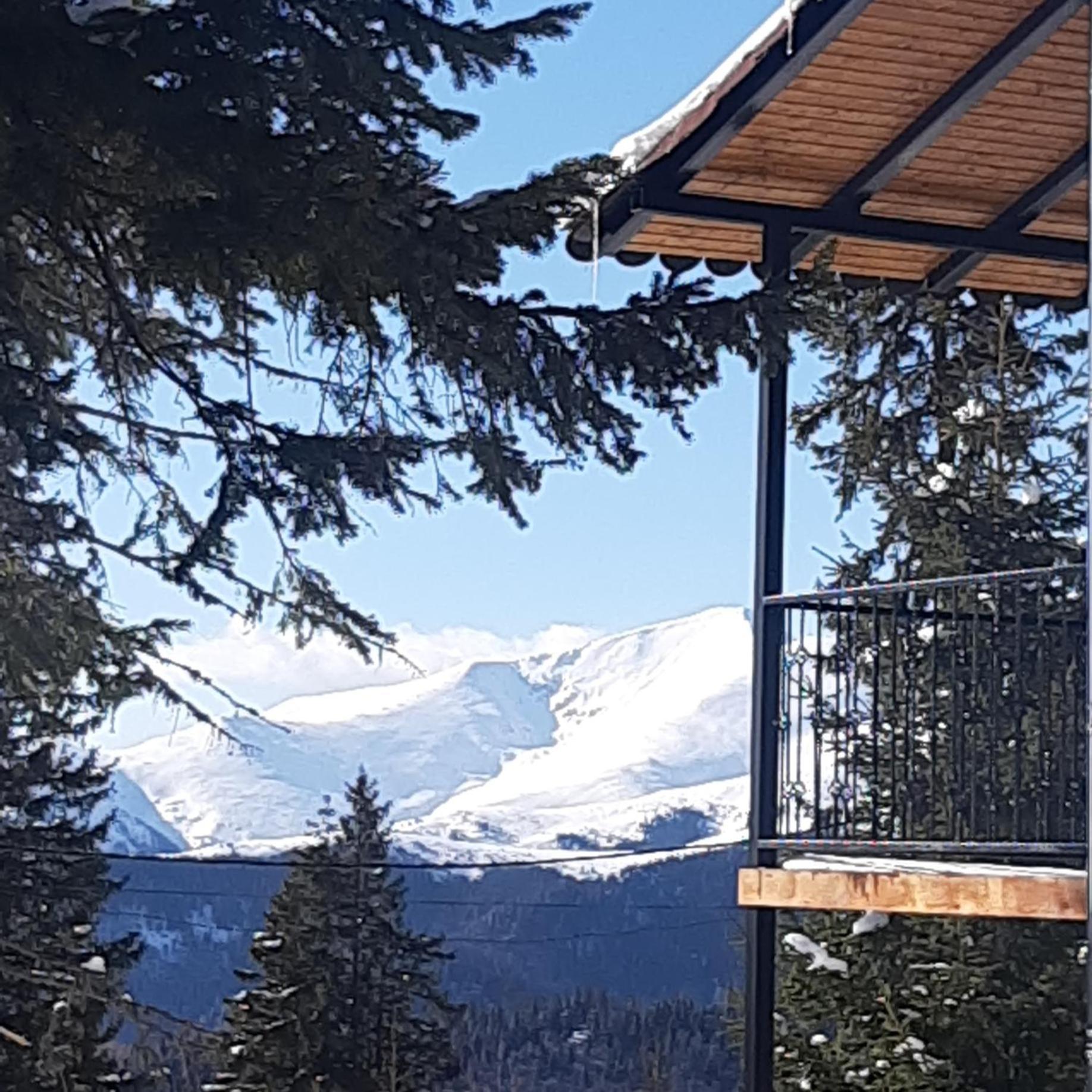 Villa Sky View Ranca-Transalpina Exterior foto