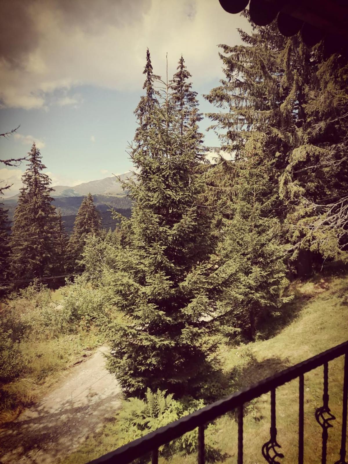 Villa Sky View Ranca-Transalpina Exterior foto