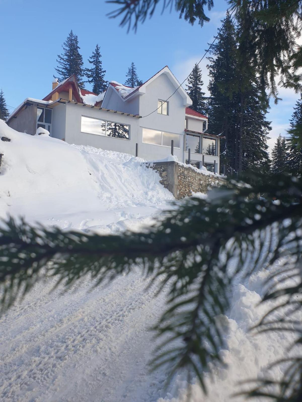 Villa Sky View Ranca-Transalpina Exterior foto